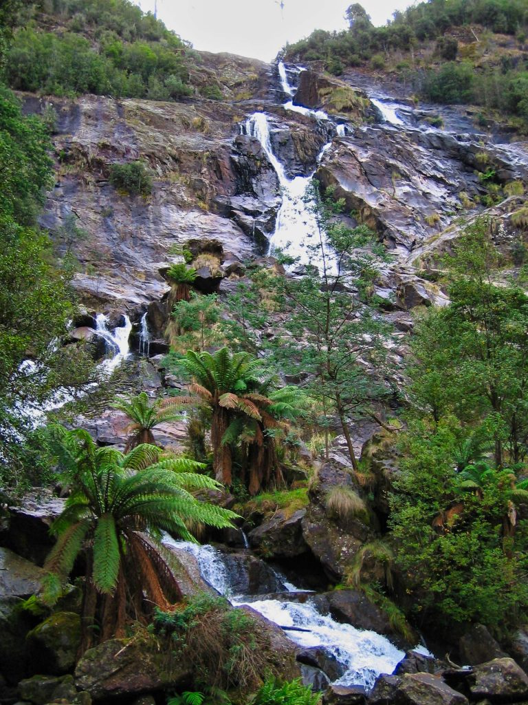 St Columba Falls in Tasmania